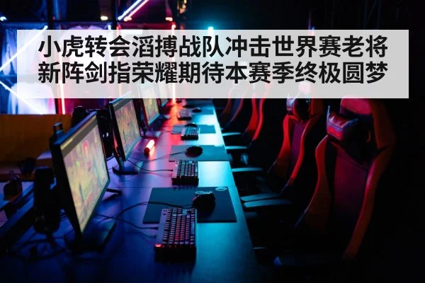 小虎转会滔搏战队冲击世界赛老将新阵剑指荣耀期待本赛季终极圆梦