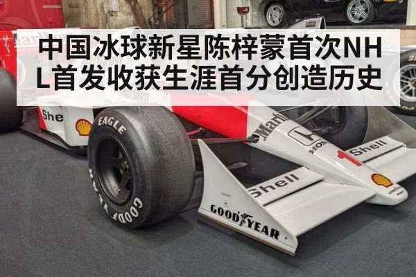 中国冰球新星陈梓蒙首次NHL首发收获生涯首分创造历史